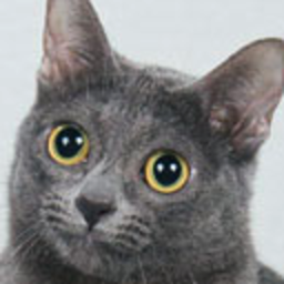 Shookingtons — cat emoji for Slack & Discord (Discord)