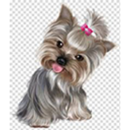 Yorkie — dog emoji for Slack & Discord (Discord)