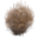 Silence — nature emoji for Slack & Discord