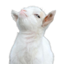 Smug Goat — animal emoji for Slack & Discord