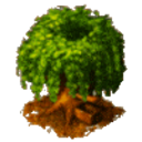 Coin Tree — plant emoji for Slack & Discord
