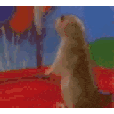 Beaver Stare — animal emoji for Slack & Discord