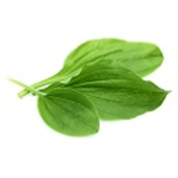 Plantains — plant emoji for Slack & Discord (Discord)