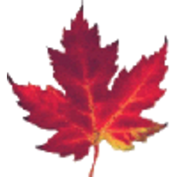 Maple Leaf — maple emoji for Slack & Discord (Discord)
