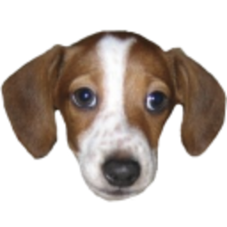 Frankerz — dog emoji for Slack & Discord (Discord)
