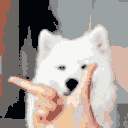 Samoyed Thonking — dog emoji for Slack & Discord