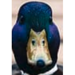 What Duck — animal emoji for Slack & Discord (Discord)