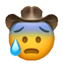 Cold Sweat Cowboy — reaction emoji for Slack & Discord