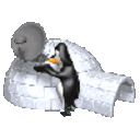 Igloo Penguin — animal emoji for Slack & Discord