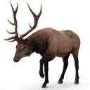 Elk2 — animal emoji for Slack & Discord