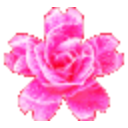 Trippy Flower — pink emoji for Slack & Discord