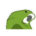 Parrot Dad — party-parrot-parrot-dad emoji for Slack & Discord