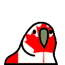 Canada Parrot — parrot emoji for Slack & Discord