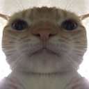 Cat — cat emoji for Slack & Discord