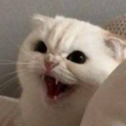 Terisaale12 — cat emoji for Slack & Discord (Discord)