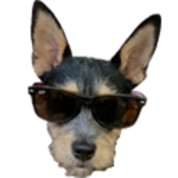 Koolgordy — dog emoji for Slack & Discord (Discord)