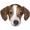 Frankerz — dog emoji for Slack & Discord