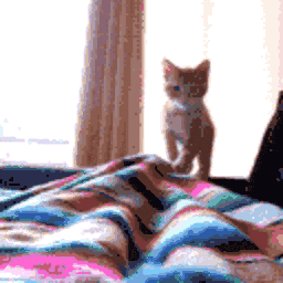 Kitty Pounce — cat emoji for Slack & Discord (Discord)
