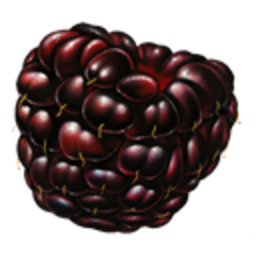 Blackberry — fruit emoji for Slack & Discord (Discord)