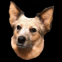 Gracie — dog emoji for Slack & Discord