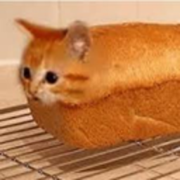 Breadcat 2 — cat emoji for Slack & Discord (Discord)