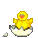 Chick Hatch — cartoon emoji for Slack & Discord