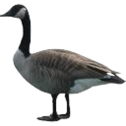 Goose 2 — animal emoji for Slack & Discord (Discord)