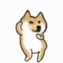 Danceydoge — dog emoji for Slack & Discord