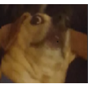 Woahthere — dog emoji for Slack & Discord