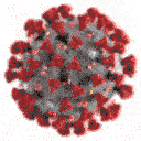 Coronavirus 4 — virus emoji for Slack & Discord