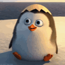 Penguin 5 — penguin emoji for Slack & Discord