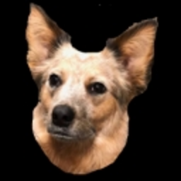 Gracie — dog emoji for Slack & Discord (Discord)