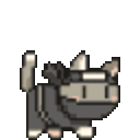 Ninja Cat — cartoon emoji for Slack & Discord