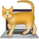 Cat On Keyboard — cartoon emoji for Slack & Discord