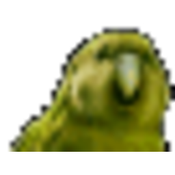 Kaka — bird emoji for Slack & Discord (Discord)