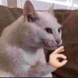 Ok Cat — animal emoji for Slack & Discord (Discord)