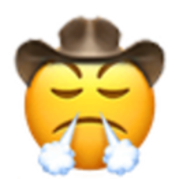 Triumphant Cowboy — cowboy emoji for Slack & Discord (Discord)