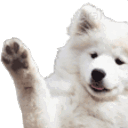 Waveboi — animal emoji for Slack & Discord