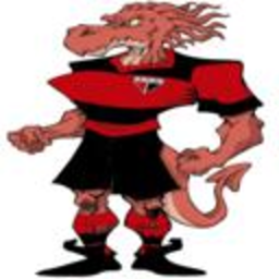 Dragaoelbombadao — cartoon emoji for Slack & Discord (Discord)
