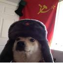 Comrade Dogge — dog emoji for Slack & Discord