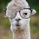 Babyllamas — animal emoji for Slack & Discord