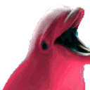 Dolphinparty — animal emoji for Slack & Discord