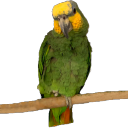 Bosco — animal emoji for Slack & Discord