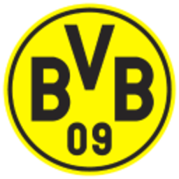 Bvb — logo emoji for Slack & Discord (Discord)