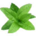 Mint Leaf — green emoji for Slack & Discord