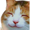 Cat Good — cat emoji for Slack & Discord