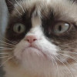 No 2 — cat emoji for Slack & Discord (Discord)