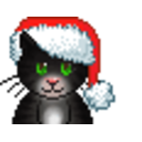 Xmas Cat Black — cartoon emoji for Slack & Discord
