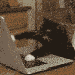 Coding — cat emoji for Slack & Discord (Discord)