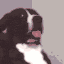 Dog Wait What — dog emoji for Slack & Discord